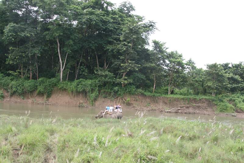 India & Nepal 2011 - 0555